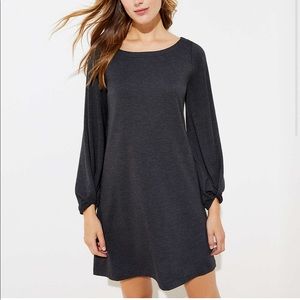 Loft Swing Dress
